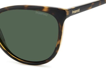 Sunglasses Polaroid PLD4179/S 086/UC Polarized Cat Eye Havanna