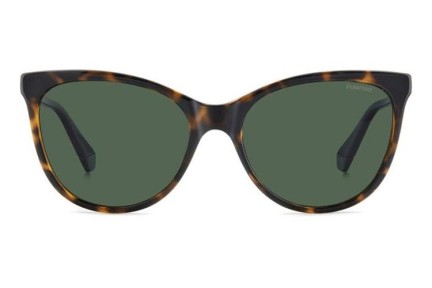 Sunglasses Polaroid PLD4179/S 086/UC Polarized Cat Eye Havanna