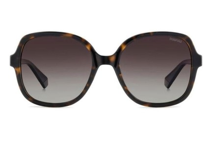 Sonnenbrille Polaroid PLD4177/S/X 086/LA Polarized Quadratisch Havanna