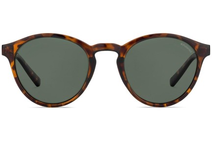 Sonnenbrille Polaroid PLD1013/S V08/H8 Polarized Rund Havanna