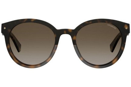 Sunglasses Polaroid PLD6043/S 086/LA Polarized Rund Havanna