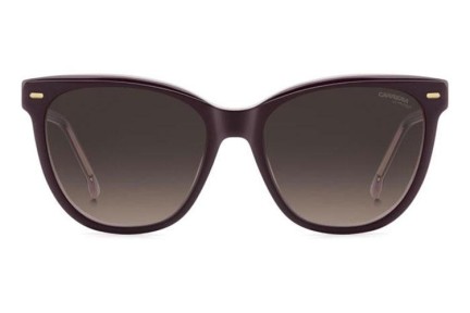 Sonnenbrille Carrera CARRERA3043/S 0T7/HA Rechteck Lila