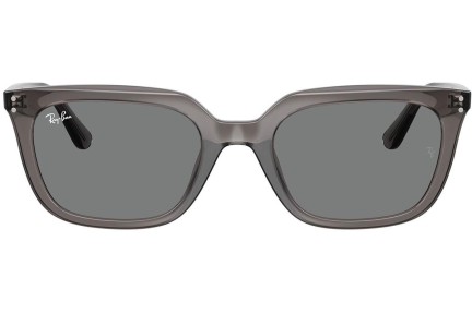 Sunglasses Ray-Ban RB4439D 667587 Quadratisch Grau