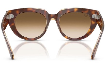 Sunglasses Ray-Ban RB2286 141451 Quadratisch Havanna