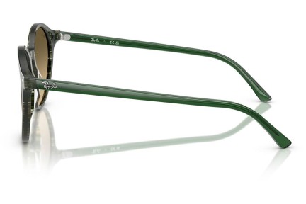 Sonnenbrille Ray-Ban RB2230 14210A Rund Grün