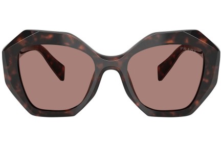 Sonnenbrille Prada PR16WS 17N60B Besondere Havanna