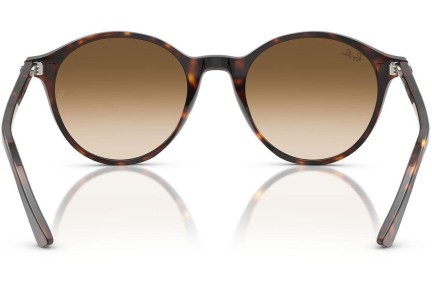 Sunglasses Ray-Ban RB2230 902/51 Rund Havanna