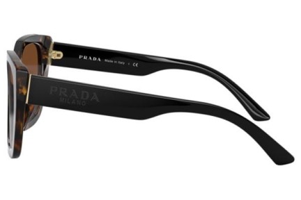 Sonnenbrille Prada PR24XS 2AU6S1 Cat Eye Havanna