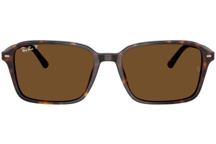 Sunglasses Ray-Ban RB2231 902/57 Polarized Quadratisch Havanna