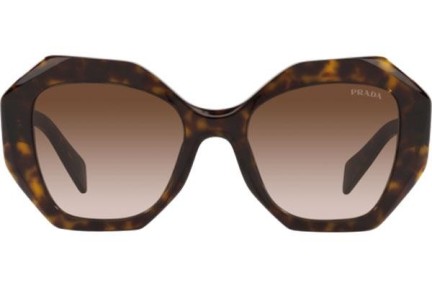 Sunglasses Prada PR16WS 2AU6S1 Besondere Havanna