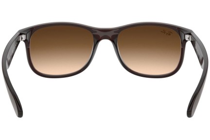 Sunglasses Ray-Ban Andy RB4202 607313 Quadratisch Braun