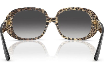 Sonnenbrille Dolce & Gabbana DG4476 32998G Cat Eye Schwarz