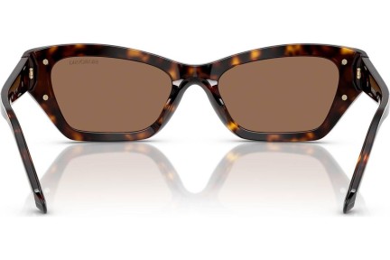 Sonnenbrille Swarovski SK6029 100273 Cat Eye Havanna