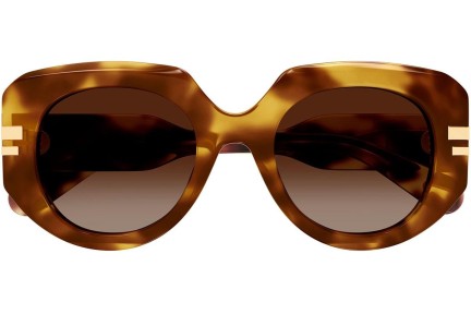 Sonnenbrille Chloe CH0257S 002 Rund Havanna