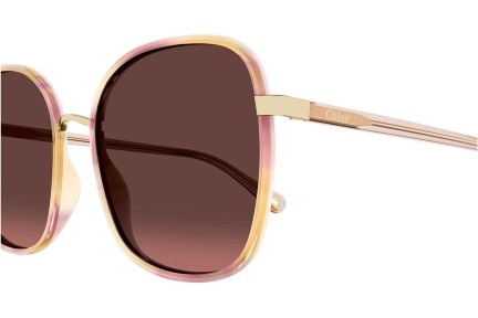 Sonnenbrille Chloe CH0031S 014 Quadratisch Rosa