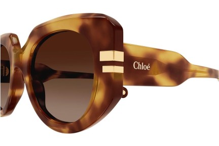 Sonnenbrille Chloe CH0257S 002 Rund Havanna