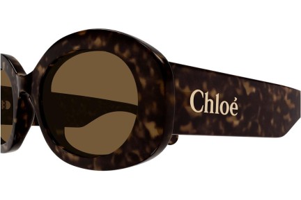 Sonnenbrille Chloe CH0258S 002 Oval Havanna