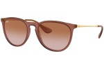 Sunglasses Ray-Ban Erika RB4171 659013 Rund Braun