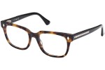 Glasses Web WE5397 052 Quadratisch Havanna