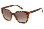 Sunglasses Fossil FOS3138/G/S 086/HA Cat Eye Havanna