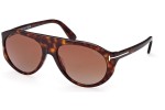 Sunglasses Tom Ford FT1001 52F Pilot Havanna