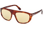 Sunglasses Tom Ford FT1002 53E Pilot Havanna