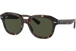 Sonnenbrille Ray-Ban Erik RB4398 902/31 Quadratisch Havanna