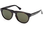 Sunglasses Web WE0349 52N Rund Havanna