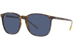 Sunglasses Ray-Ban RB4387 710/80 Quadratisch Havanna