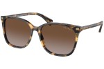 Sunglasses Ralph by Ralph Lauren VVCV RA5293 6148T5 Polarized Quadratisch Havanna