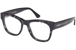 Glasses Web WE5423 056 Quadratisch Havanna