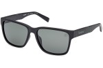 Timberland TB9335-H 02R Polarized