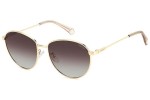 Sunglasses Polaroid PLD4171/G/S/X 01Q/LA Polarized Rund Gold