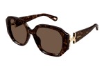 Sonnenbrille Chloe CH0236S 002 Quadratisch Havanna