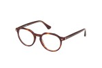 Glasses Web WE5427 056 Rund Havanna