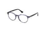 Glasses Web WE5427 092 Rund Blau