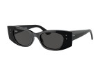 Sunglasses Ray-Ban RB4427 667787 Browline Schwarz