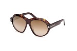 Sunglasses Tom Ford FT1113 52G Rund Havanna