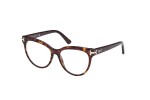 Glasses Emilio Pucci EP5245 052 Cat Eye Havanna