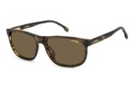 Sonnenbrille Carrera CFLEX08/G/S EX4/SP Polarized Rechteck Braun