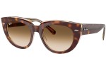 Sunglasses Ray-Ban RB2286 141451 Quadratisch Havanna