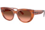 Ray-Ban RB2286 1415A5