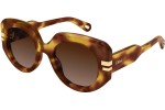 Sonnenbrille Chloe CH0257S 002 Rund Havanna